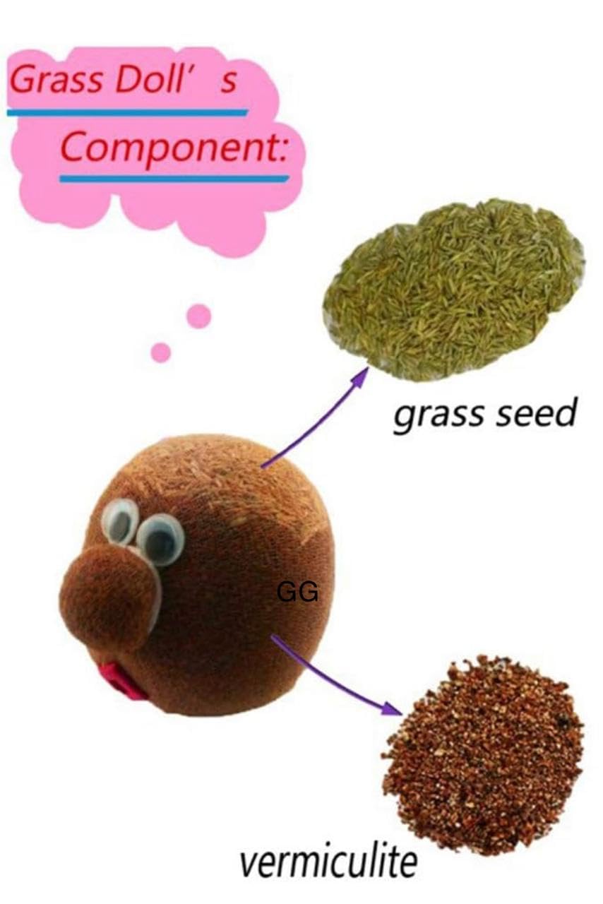 Grass headd Doll - Bonsai Grass headd Plants Potted | Grasshead Hair Grow Toy | Small Potted Ornaments with Cultivation Medium, Garden Decoration