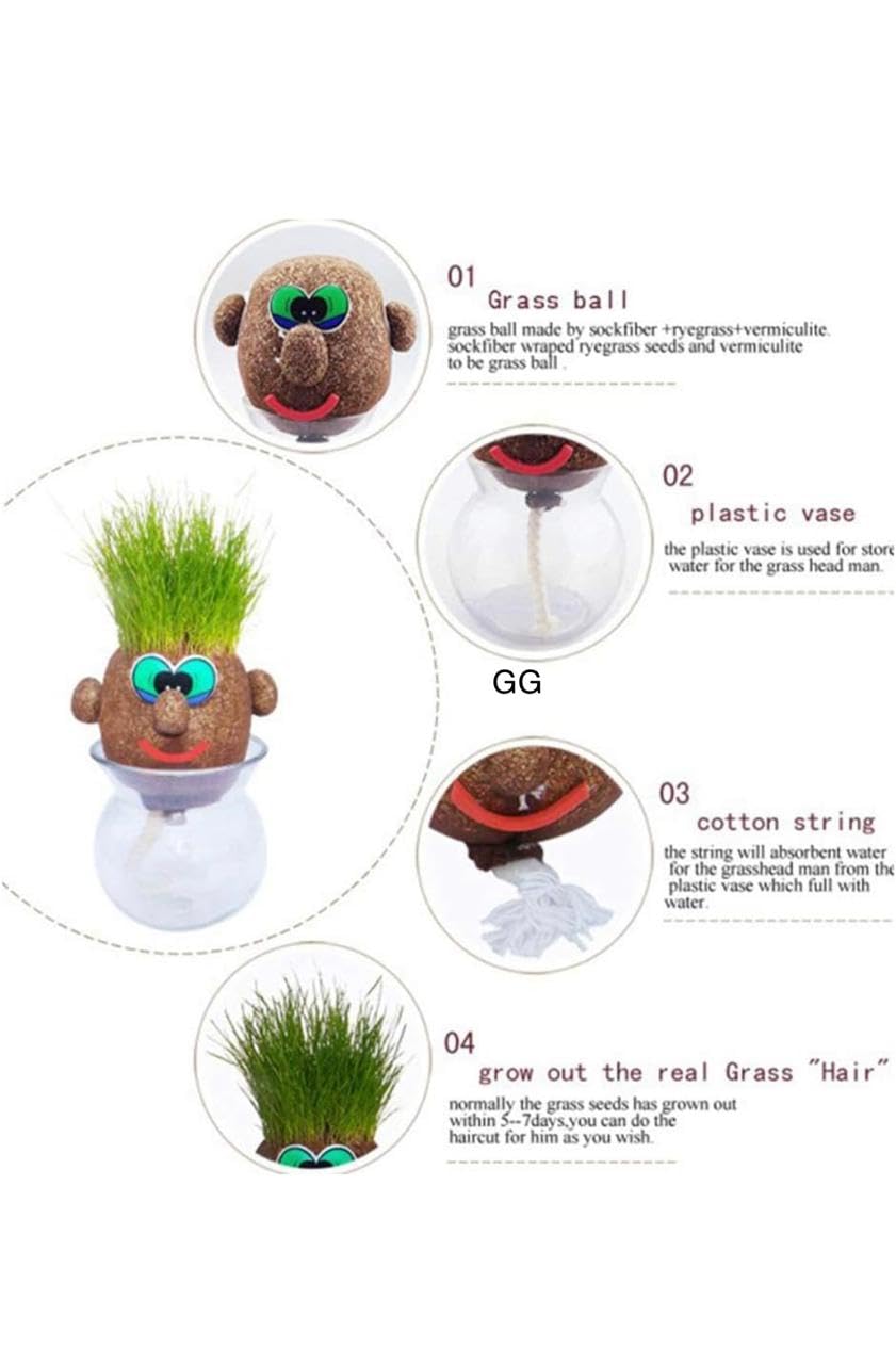 Grass headd Doll - Bonsai Grass headd Plants Potted | Grasshead Hair Grow Toy | Small Potted Ornaments with Cultivation Medium, Garden Decoration
