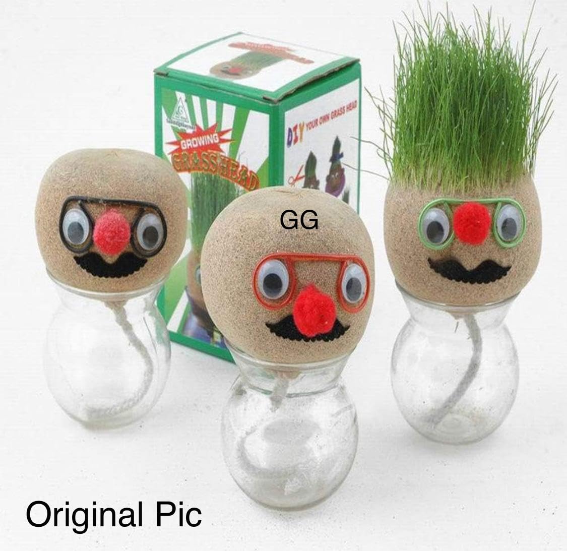 Grass headd Doll - Bonsai Grass headd Plants Potted | Grasshead Hair Grow Toy | Small Potted Ornaments with Cultivation Medium, Garden Decoration