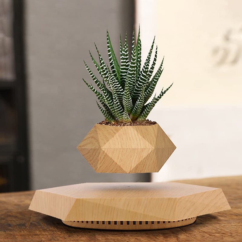 Marble Levitating Plant Pot – Floating Magnetic Planter for Indoor Decor