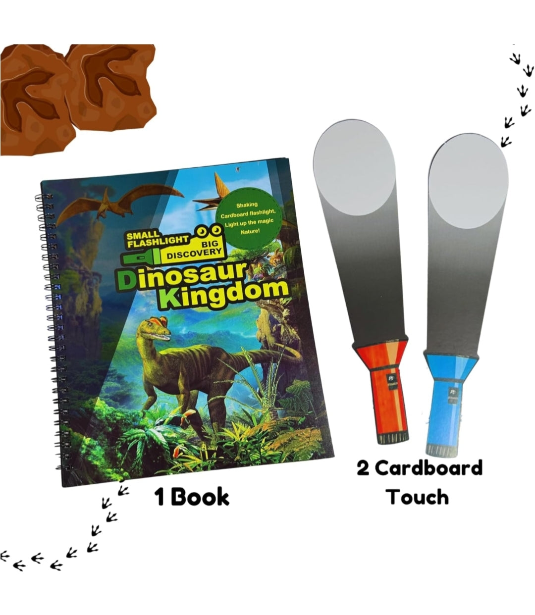 Flash Light Discovery Book