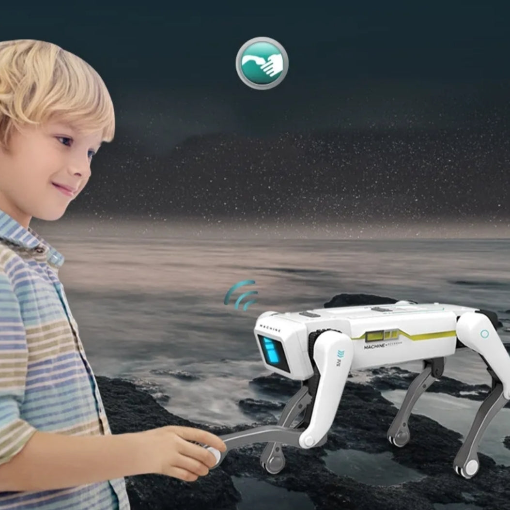 Smart Dog Robot Toy with Remote Control – Interactive Walking & Dancing Robot Dog for Kids