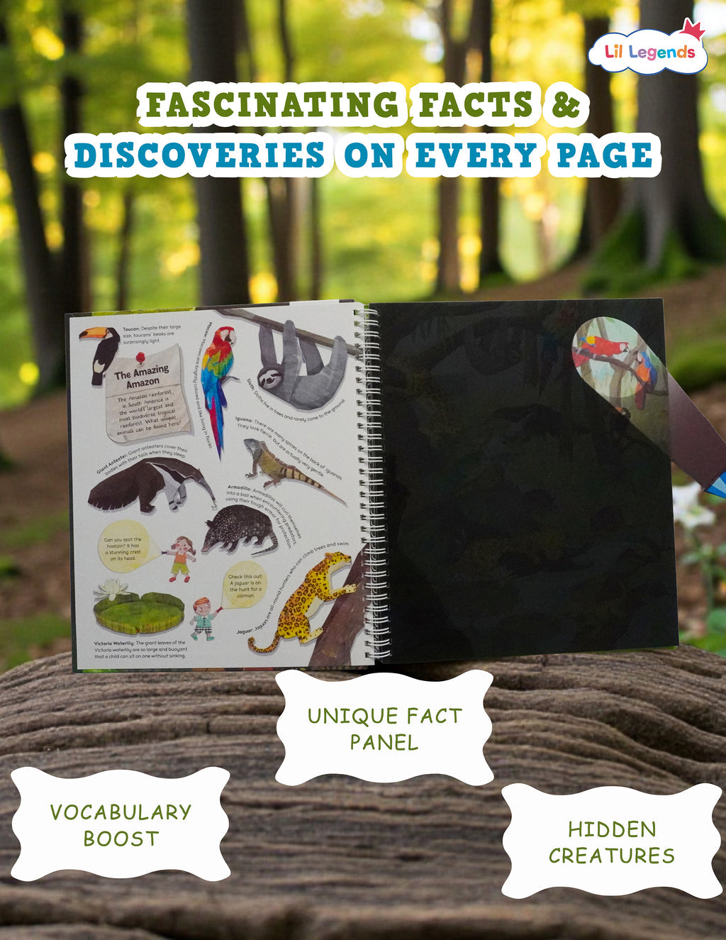 Flash Light Discovery Book