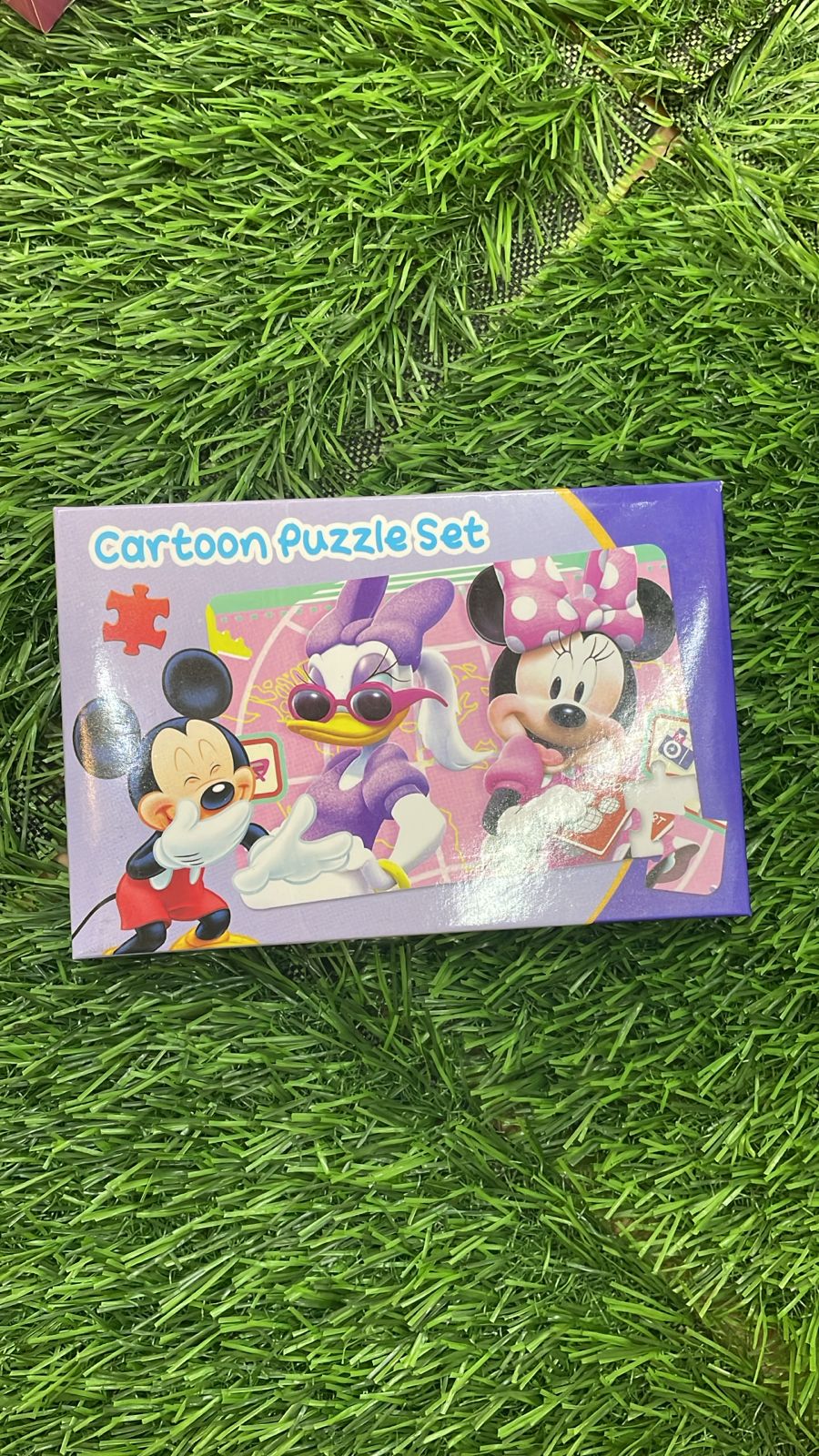 Cartoon Puzzle Set (Assorted Characters)