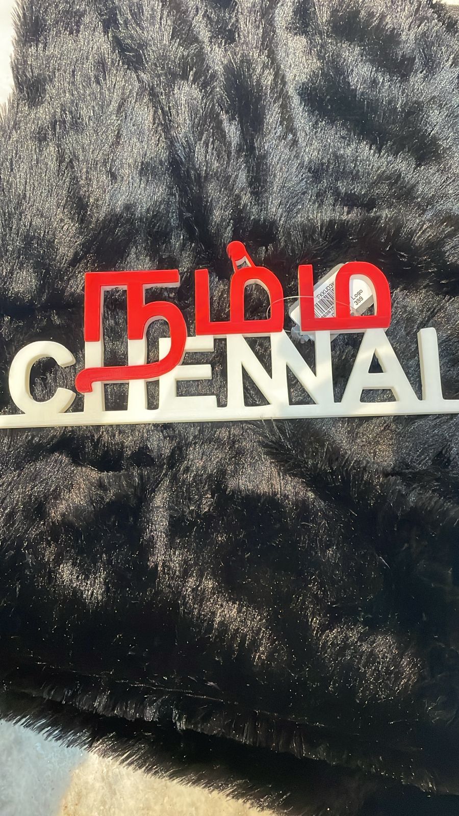 Namma Chennai 3D Wall Decor