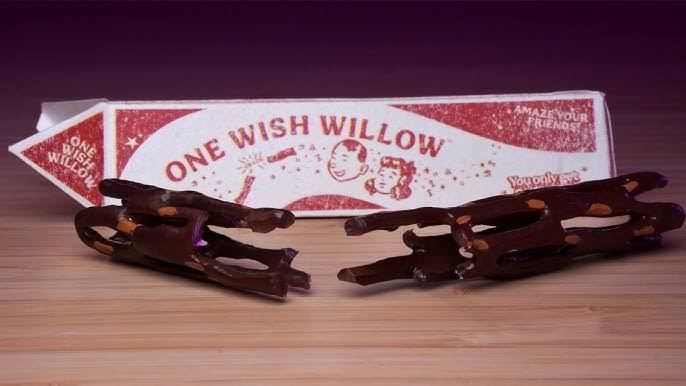 ✨ One Wish Willow – Magic Growing Wish Stick ✨