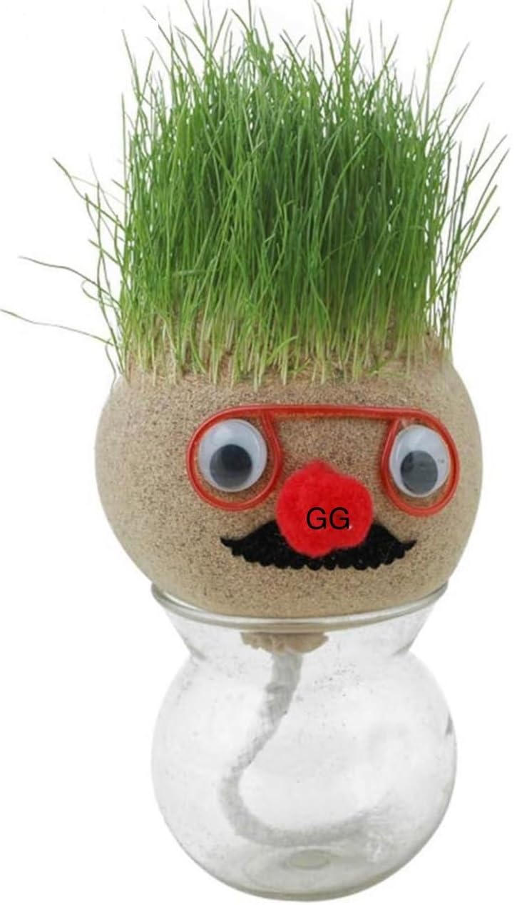Grass headd Doll - Bonsai Grass headd Plants Potted | Grasshead Hair Grow Toy | Small Potted Ornaments with Cultivation Medium, Garden Decoration
