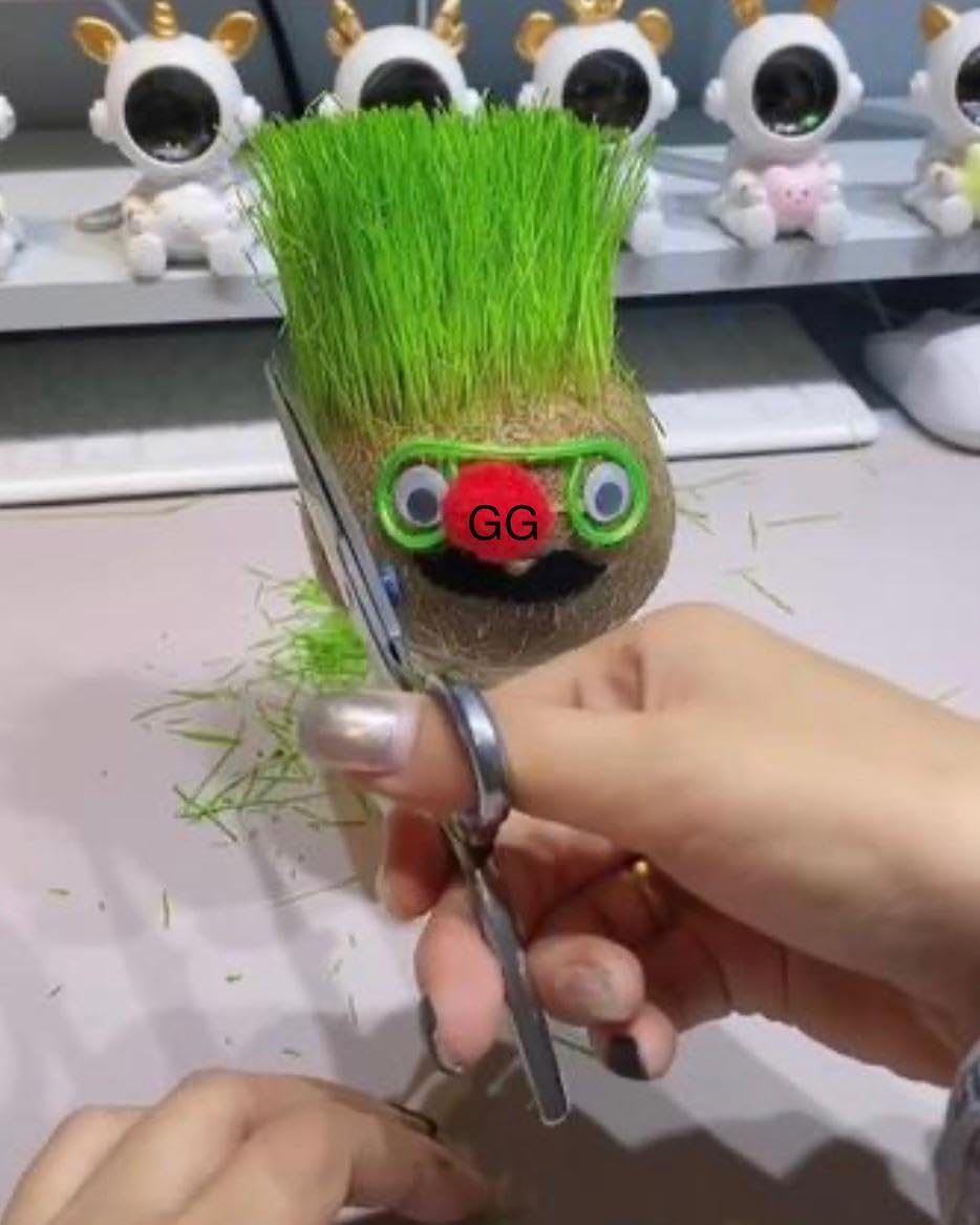 Grass headd Doll - Bonsai Grass headd Plants Potted | Grasshead Hair Grow Toy | Small Potted Ornaments with Cultivation Medium, Garden Decoration