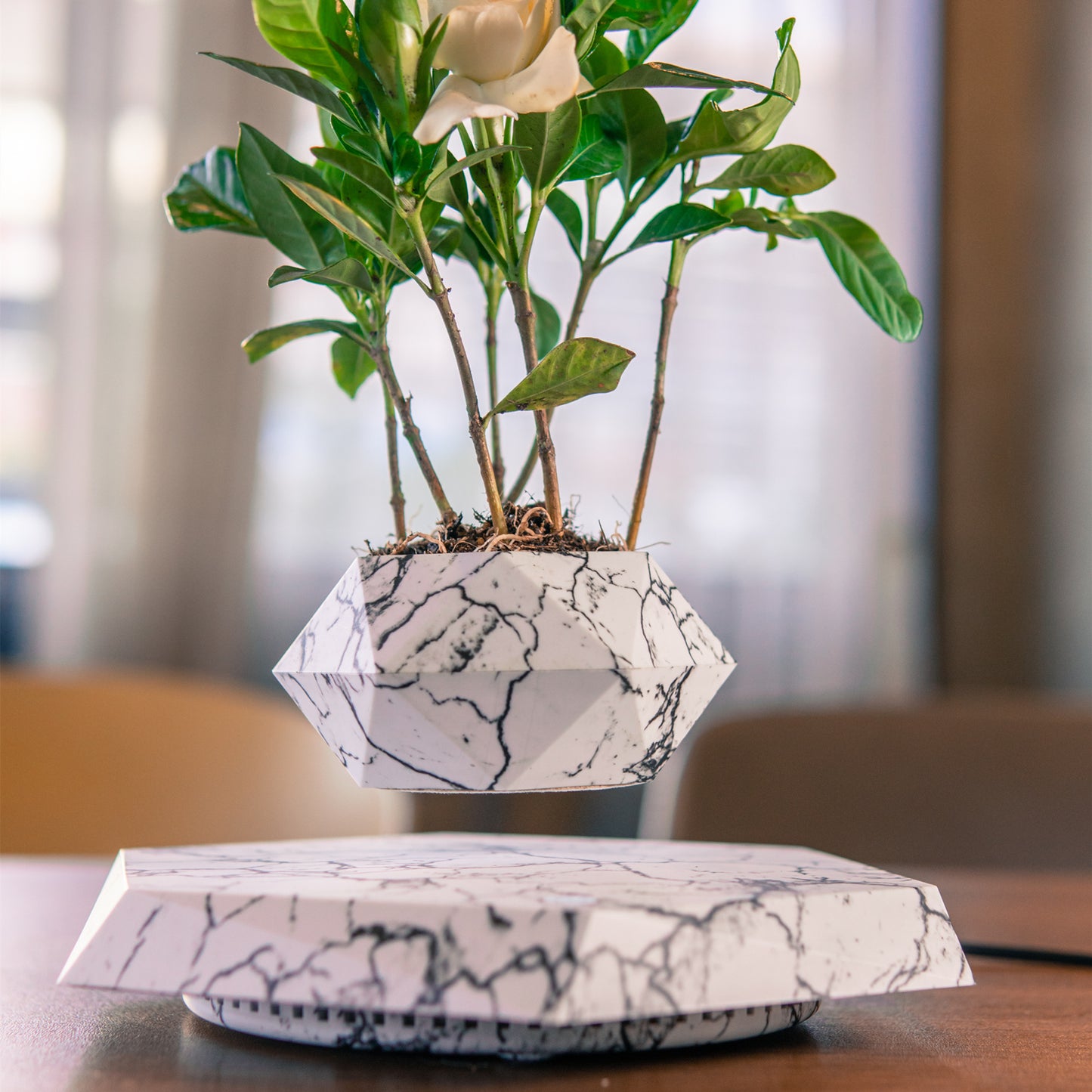 Marble Levitating Plant Pot – Floating Magnetic Planter for Indoor Decor