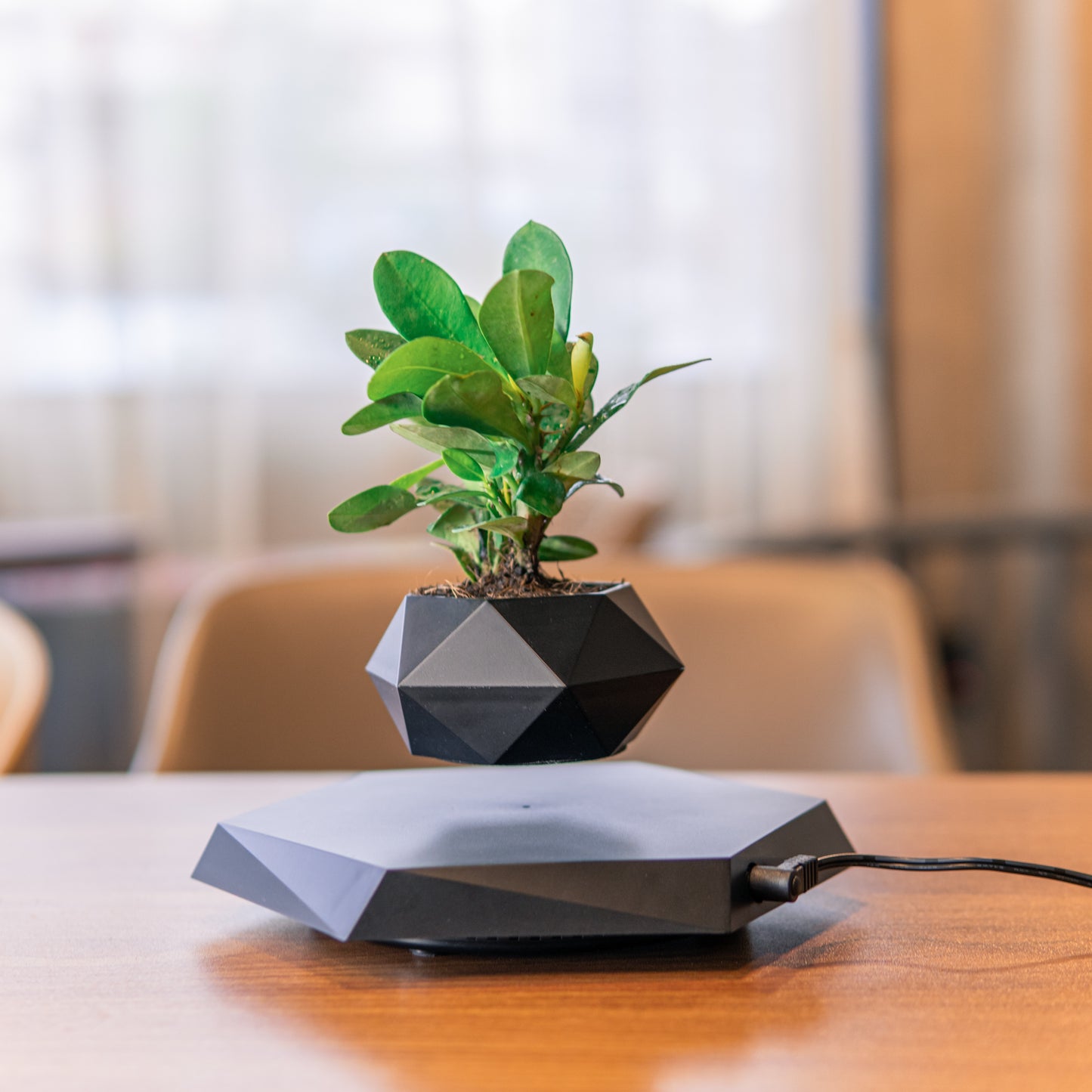 Marble Levitating Plant Pot – Floating Magnetic Planter for Indoor Decor