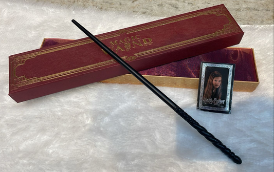 Harry Potter Wizard Wand Set