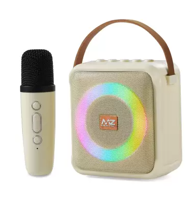 Portable Karaoke Bluetooth Speaker