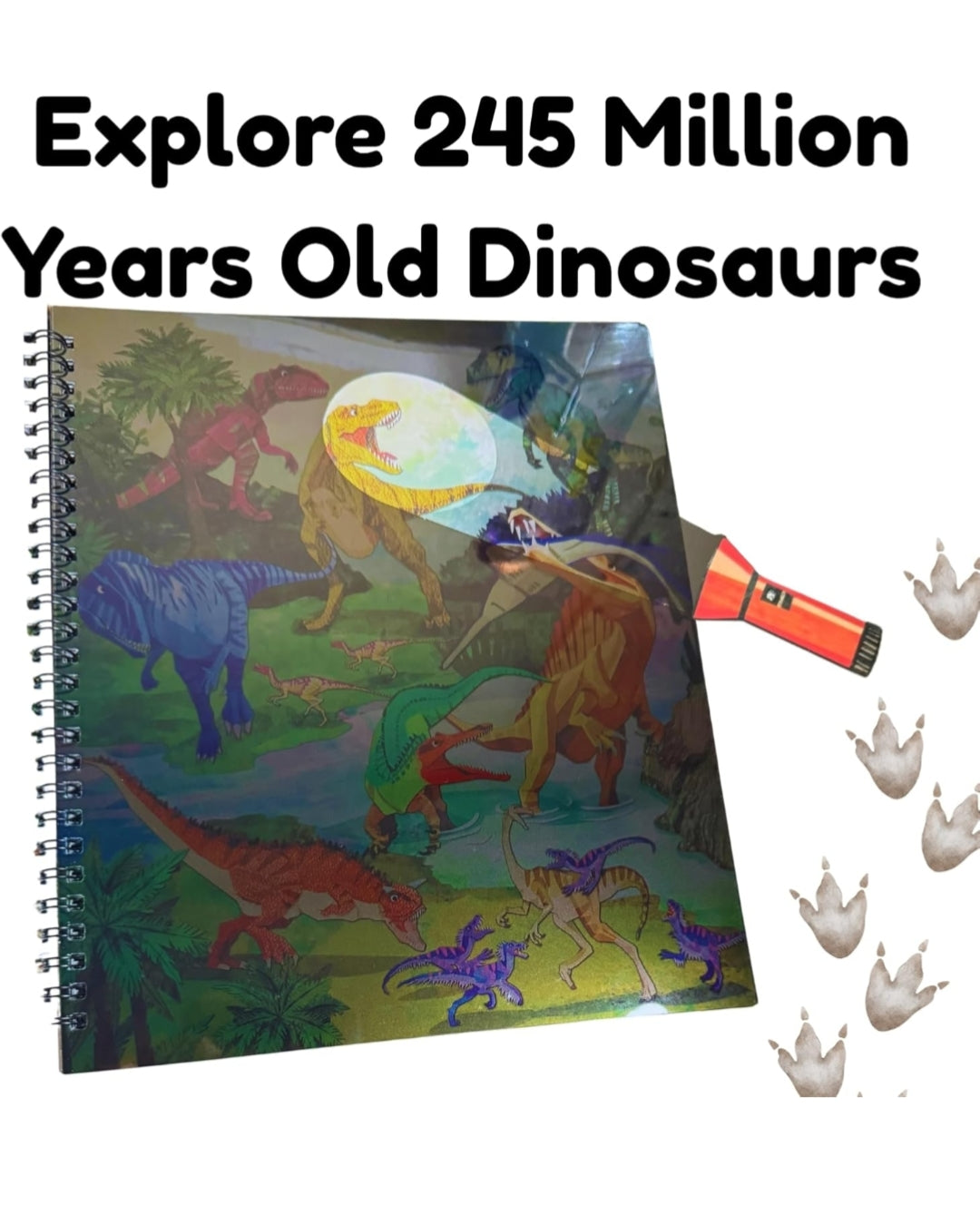 Flash Light Discovery Book