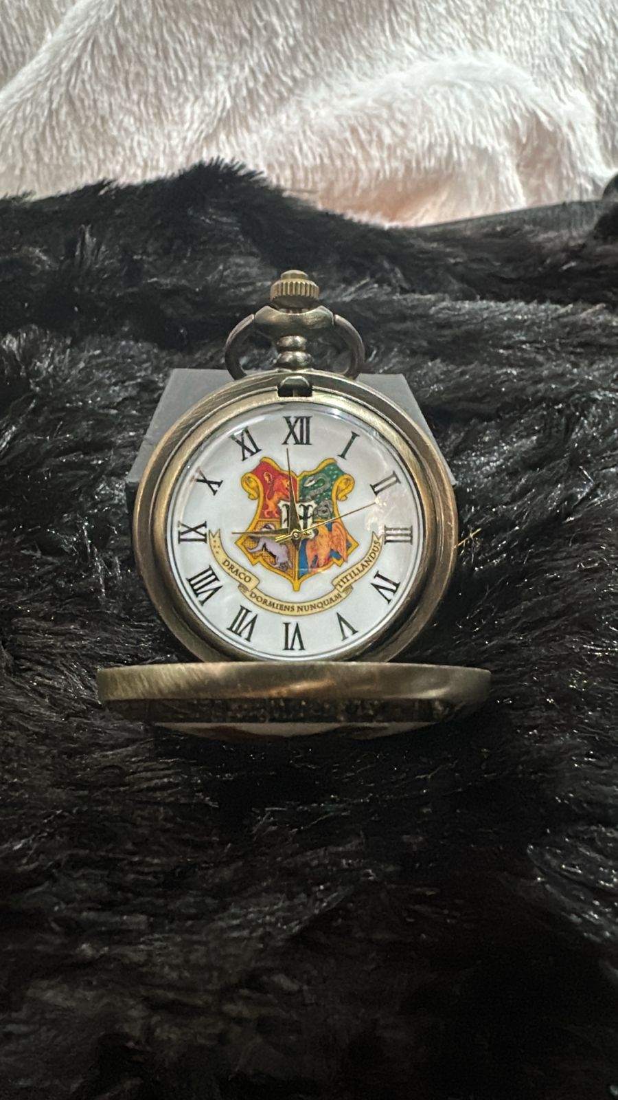 Classic Vintage Pocket Watch