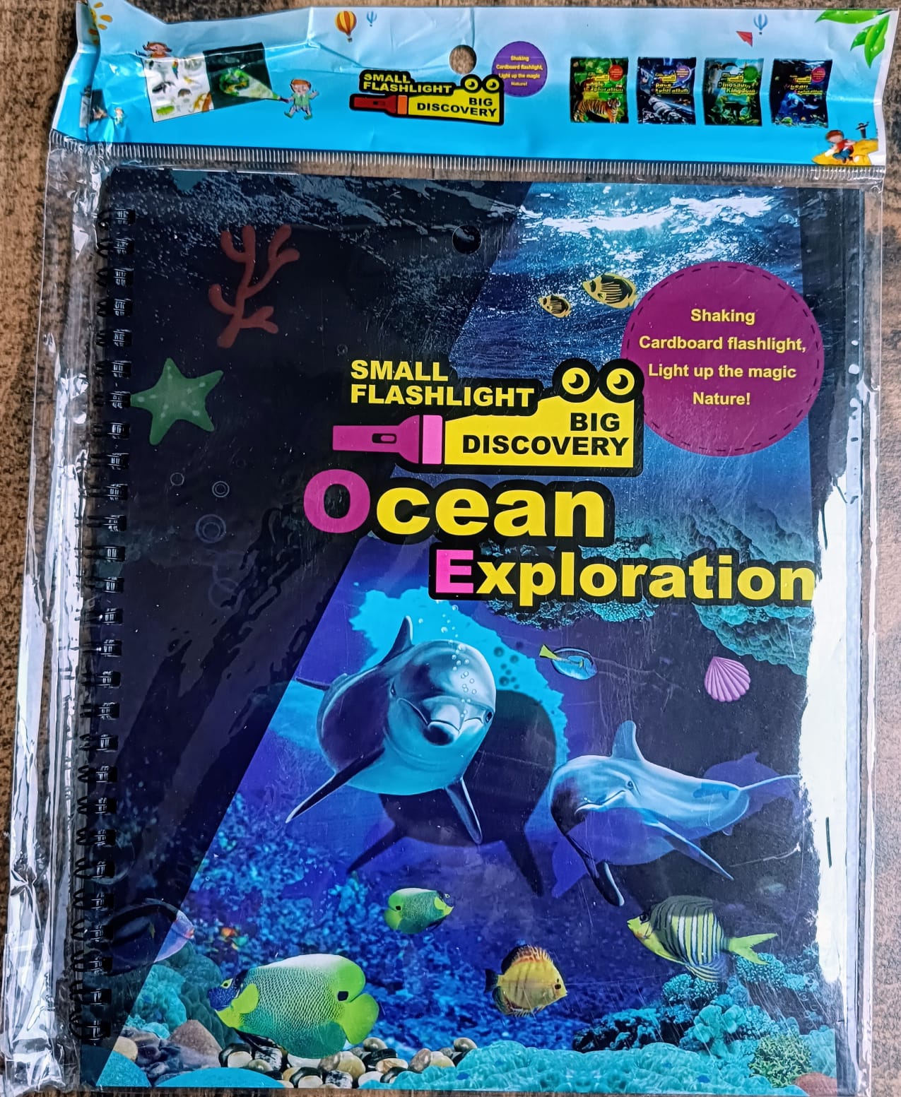 Flash Light Discovery Book